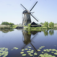 Kinderdijk windmills visit during our Holland Private Tours Amsterdam